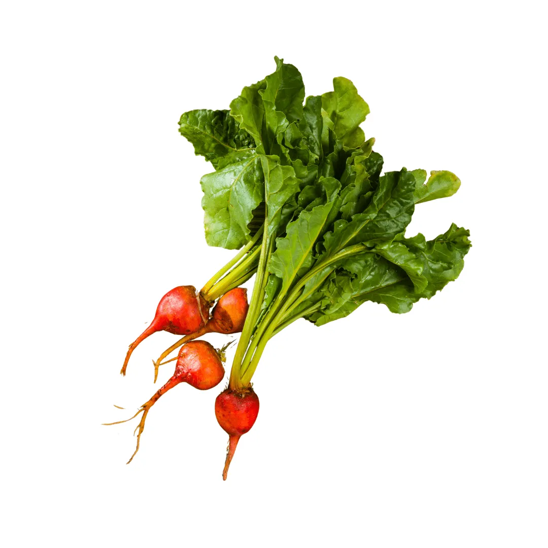 Beet Touchstone Gold Seeds | West Coast Seeds