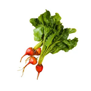 Beet Touchstone Gold Seeds | West Coast Seeds