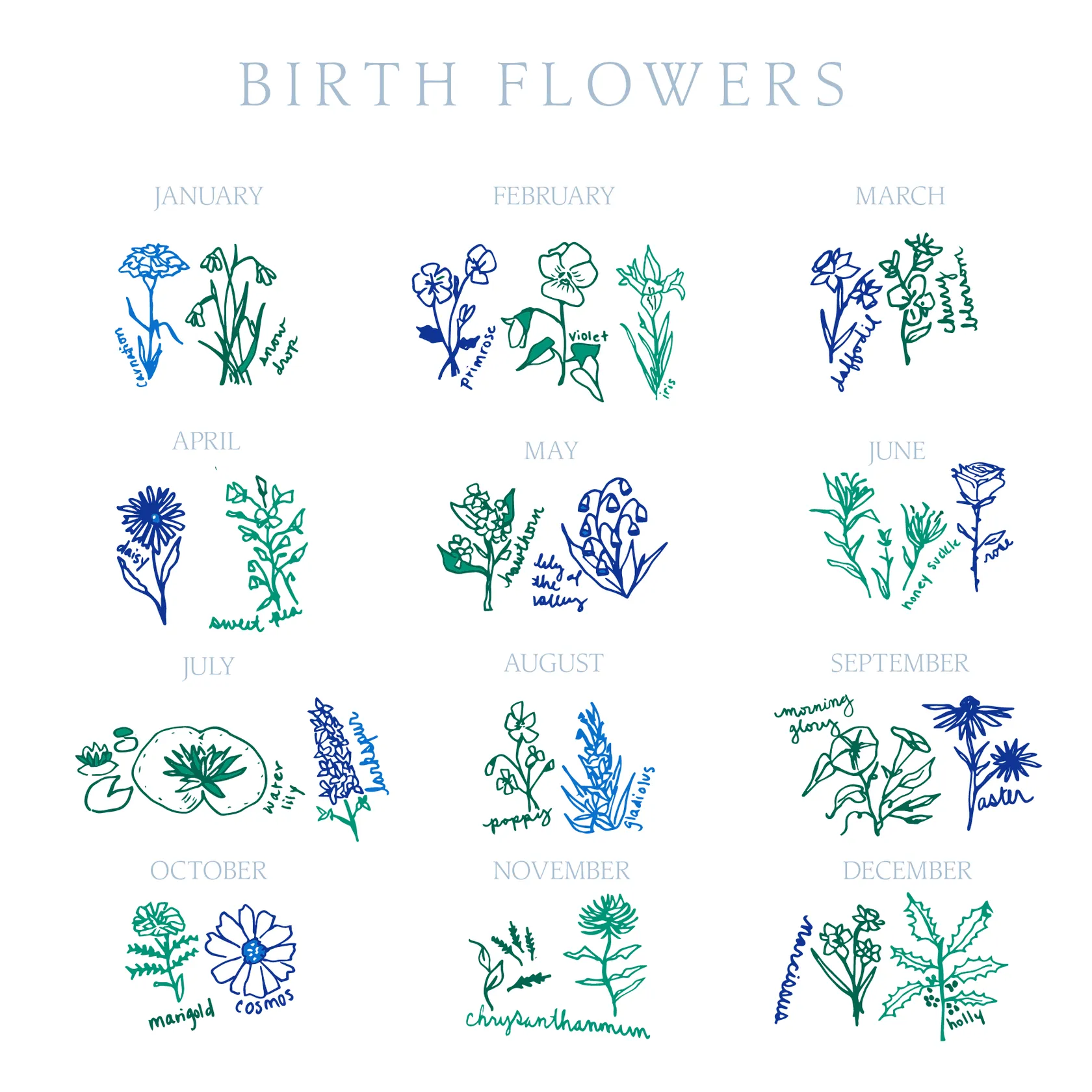 Birth Flowers Baby Bib - Birth Flowers - Aster Multi