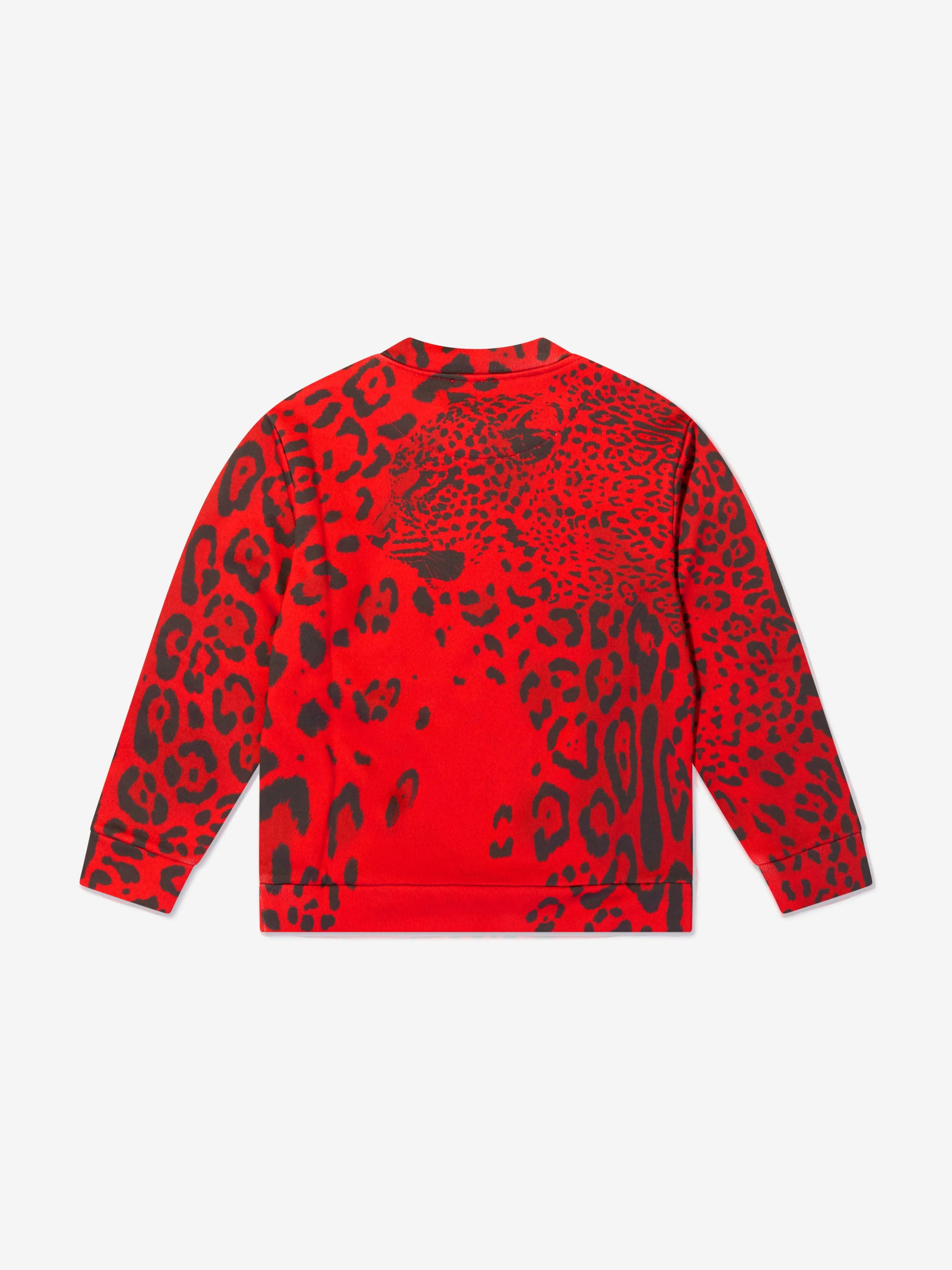 Dolce & Gabbana Boys Cotton Leopard Logo Sweatshirt