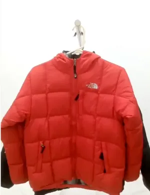 SH22 The North Face Puffer Jackets Series 550 - 800 17 Pcs