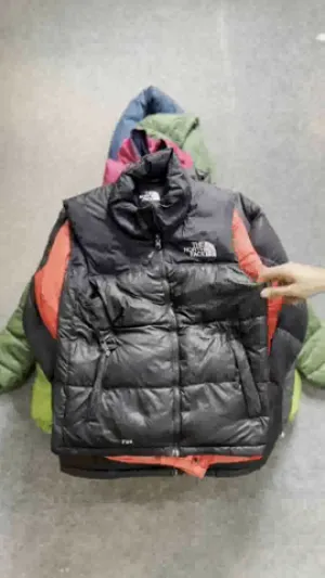 The North Face Puffer Jackets 550 650 700 800 900